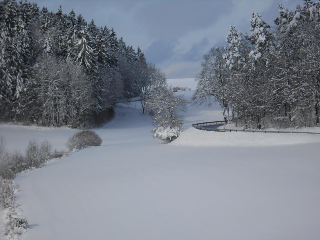 Landgasthof Schutzen Hotell Tengen Eksteriør bilde